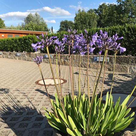 Appartamento Kaitzbach-Idylle Dresda Esterno foto