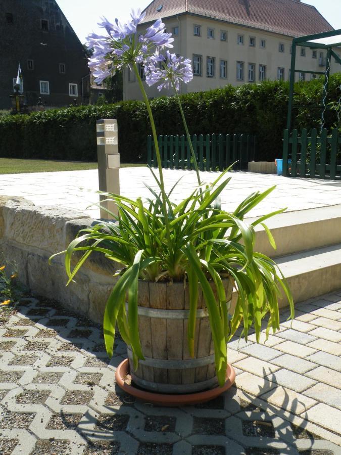 Appartamento Kaitzbach-Idylle Dresda Esterno foto