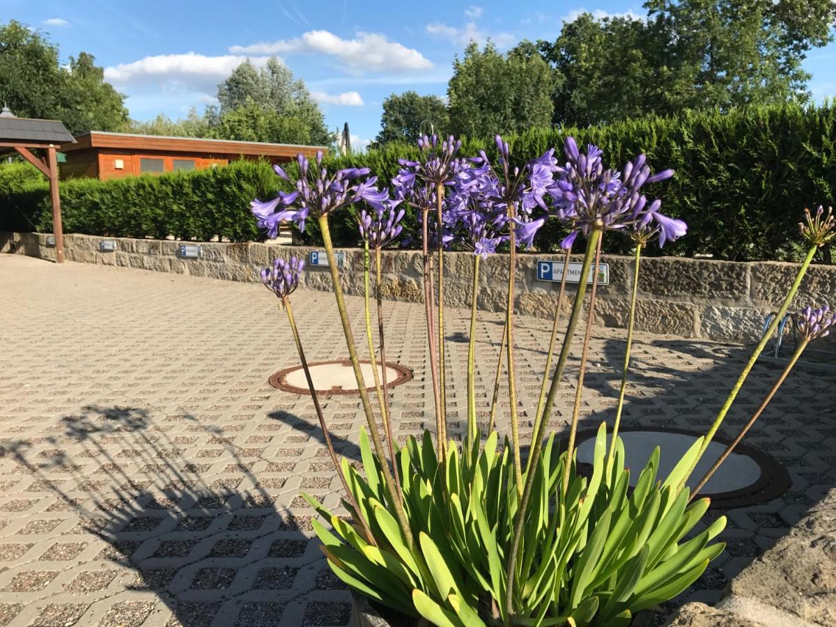 Appartamento Kaitzbach-Idylle Dresda Esterno foto